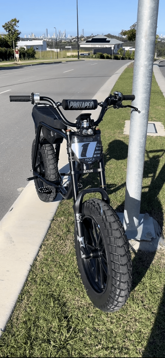 Fat Fish Titanium Bolt full Kit (real grade 5 titanium) - ff customz